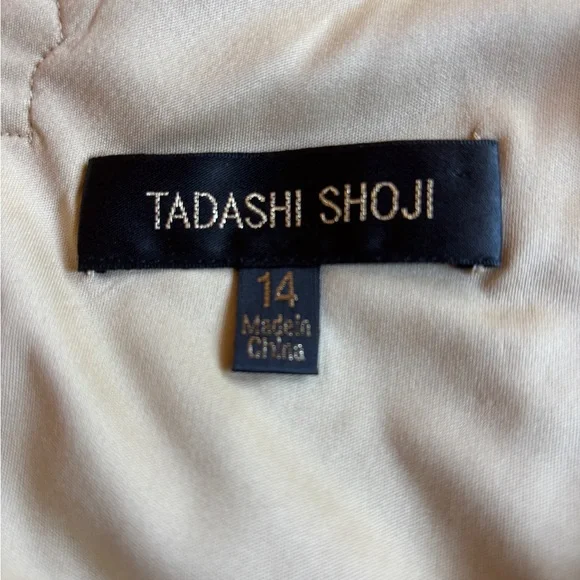 Tadashi Shoji Black and Ecru Sleeveless Dress 14 - Picture 8 of 9